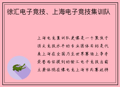 徐汇电子竞技、上海电子竞技集训队